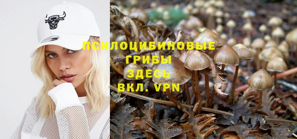 кокс Покачи