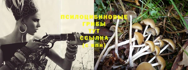 кокс Покачи
