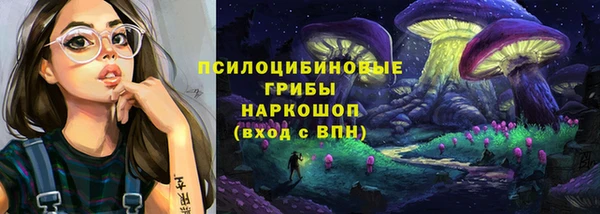шишки Покров