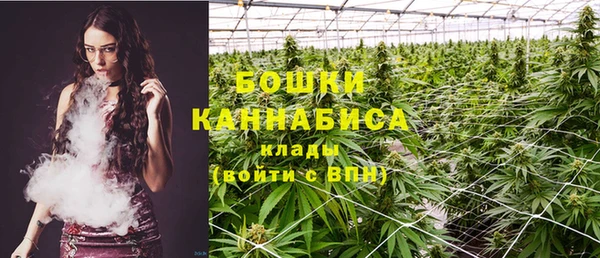 шишки Покров