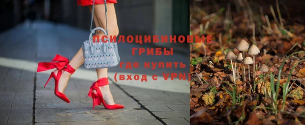 тгк Покровск