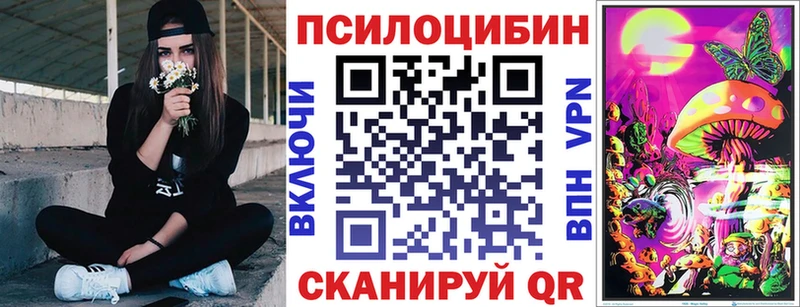 купить  цена  Ветлуга  Галлюциногенные грибы Psilocybe 